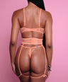 Ember Panty + Garter in Orange